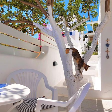 Lemon Tree Maisonette - Naoussa Paros 외부 사진
