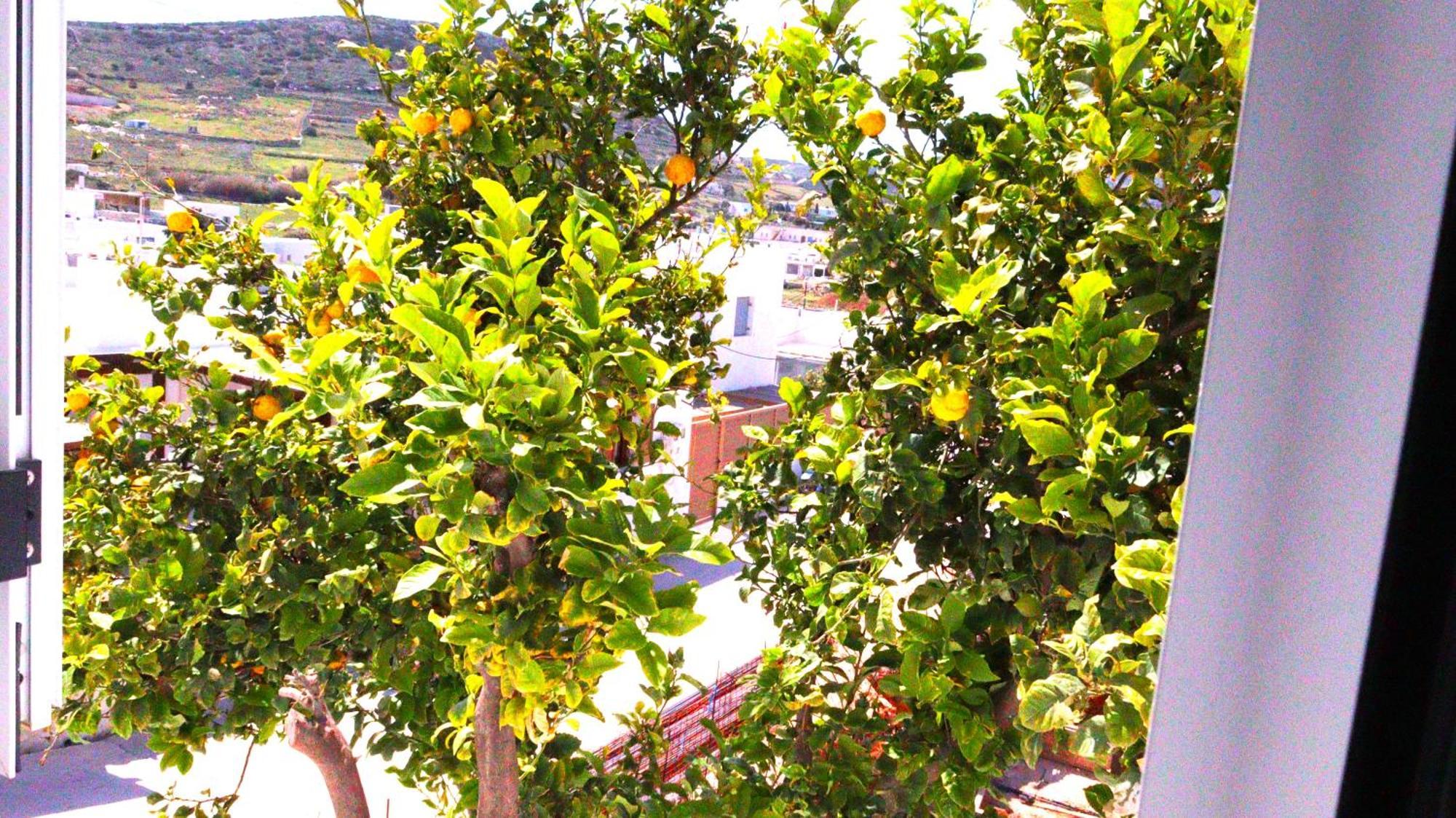Lemon Tree Maisonette - Naoussa Paros 외부 사진